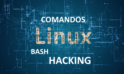 Linux Hacking Ético Nivel I